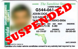 why is my license suspended fl